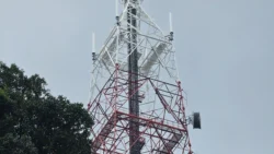 Bukit Batok Nature Park Svg+xml,%3Csvg%20xmlns%3D%22http%3A%2F%2Fwww.w3