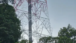 Bukit Batok Nature Park Svg+xml,%3Csvg%20xmlns%3D%22http%3A%2F%2Fwww.w3