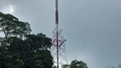 Bukit Batok Nature Park Svg+xml,%3Csvg%20xmlns%3D%22http%3A%2F%2Fwww.w3