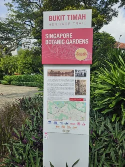 Singapore Botanic Gardens Svg+xml,%3Csvg%20xmlns%3D%22http%3A%2F%2Fwww.w3