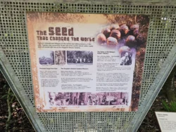 Singapore Botanic Gardens Svg+xml,%3Csvg%20xmlns%3D%22http%3A%2F%2Fwww.w3