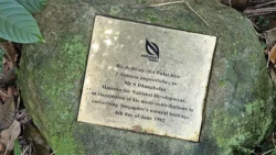 Bukit Timah Nature Reserve Svg+xml,%3Csvg%20xmlns%3D%22http%3A%2F%2Fwww.w3