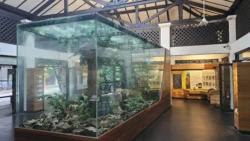 Bukit Timah Nature Reserve Svg+xml,%3Csvg%20xmlns%3D%22http%3A%2F%2Fwww.w3