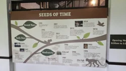 Bukit Timah Nature Reserve Svg+xml,%3Csvg%20xmlns%3D%22http%3A%2F%2Fwww.w3