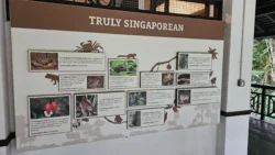 Bukit Timah Nature Reserve Svg+xml,%3Csvg%20xmlns%3D%22http%3A%2F%2Fwww.w3