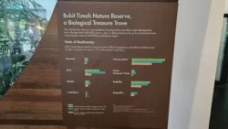 Bukit Timah Nature Reserve Svg+xml,%3Csvg%20xmlns%3D%22http%3A%2F%2Fwww.w3