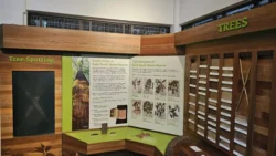 Bukit Timah Nature Reserve Svg+xml,%3Csvg%20xmlns%3D%22http%3A%2F%2Fwww.w3