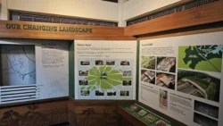 Bukit Timah Nature Reserve Svg+xml,%3Csvg%20xmlns%3D%22http%3A%2F%2Fwww.w3