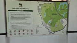 Bukit Timah Nature Reserve Svg+xml,%3Csvg%20xmlns%3D%22http%3A%2F%2Fwww.w3