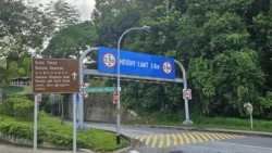 Bukit Timah Nature Reserve Svg+xml,%3Csvg%20xmlns%3D%22http%3A%2F%2Fwww.w3