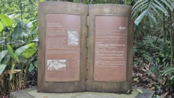 Bukit Timah Nature Reserve Svg+xml,%3Csvg%20xmlns%3D%22http%3A%2F%2Fwww.w3