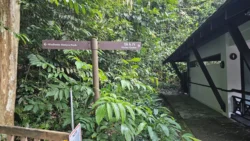 Bukit Timah Nature Reserve Svg+xml,%3Csvg%20xmlns%3D%22http%3A%2F%2Fwww.w3