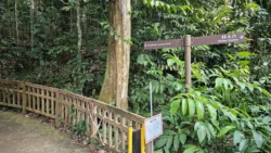 Bukit Timah Nature Reserve Svg+xml,%3Csvg%20xmlns%3D%22http%3A%2F%2Fwww.w3