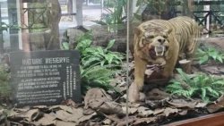 Bukit Timah Nature Reserve Svg+xml,%3Csvg%20xmlns%3D%22http%3A%2F%2Fwww.w3