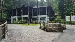 Bukit Timah Nature Reserve Svg+xml,%3Csvg%20xmlns%3D%22http%3A%2F%2Fwww.w3