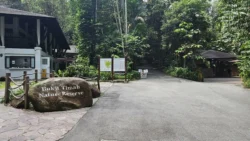 Bukit Timah Nature Reserve Svg+xml,%3Csvg%20xmlns%3D%22http%3A%2F%2Fwww.w3