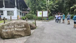 Bukit Timah Nature Reserve Svg+xml,%3Csvg%20xmlns%3D%22http%3A%2F%2Fwww.w3