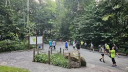 Bukit Timah Nature Reserve Svg+xml,%3Csvg%20xmlns%3D%22http%3A%2F%2Fwww.w3