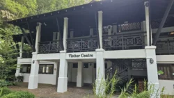 Bukit Timah Nature Reserve Svg+xml,%3Csvg%20xmlns%3D%22http%3A%2F%2Fwww.w3