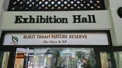 Bukit Timah Nature Reserve Svg+xml,%3Csvg%20xmlns%3D%22http%3A%2F%2Fwww.w3