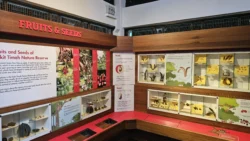 Bukit Timah Nature Reserve Svg+xml,%3Csvg%20xmlns%3D%22http%3A%2F%2Fwww.w3