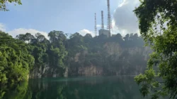 Bukit Timah Nature Reserve Svg+xml,%3Csvg%20xmlns%3D%22http%3A%2F%2Fwww.w3