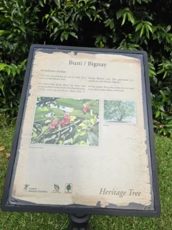 Singapore Botanic Gardens Svg+xml,%3Csvg%20xmlns%3D%22http%3A%2F%2Fwww.w3