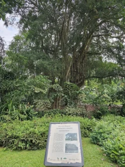 Singapore Botanic Gardens Svg+xml,%3Csvg%20xmlns%3D%22http%3A%2F%2Fwww.w3