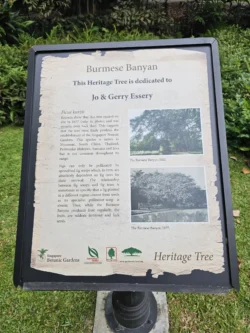 Singapore Botanic Gardens Svg+xml,%3Csvg%20xmlns%3D%22http%3A%2F%2Fwww.w3