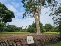 Singapore Botanic Gardens Svg+xml,%3Csvg%20xmlns%3D%22http%3A%2F%2Fwww.w3