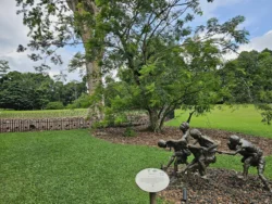 Singapore Botanic Gardens Svg+xml,%3Csvg%20xmlns%3D%22http%3A%2F%2Fwww.w3