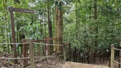 Bukit Timah Nature Reserve Svg+xml,%3Csvg%20xmlns%3D%22http%3A%2F%2Fwww.w3