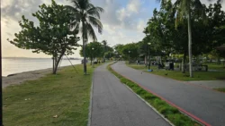 Changi Beach Park Svg+xml,%3Csvg%20xmlns%3D%22http%3A%2F%2Fwww.w3