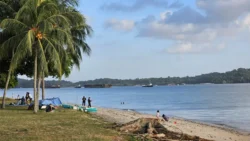 Changi Beach Park Svg+xml,%3Csvg%20xmlns%3D%22http%3A%2F%2Fwww.w3