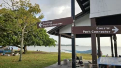 Changi Beach Park Svg+xml,%3Csvg%20xmlns%3D%22http%3A%2F%2Fwww.w3