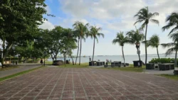 Changi Beach Park Svg+xml,%3Csvg%20xmlns%3D%22http%3A%2F%2Fwww.w3