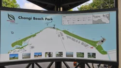 Changi Beach Park Svg+xml,%3Csvg%20xmlns%3D%22http%3A%2F%2Fwww.w3