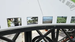 Changi Beach Park Svg+xml,%3Csvg%20xmlns%3D%22http%3A%2F%2Fwww.w3