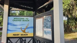 Changi Beach Park Svg+xml,%3Csvg%20xmlns%3D%22http%3A%2F%2Fwww.w3