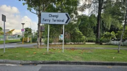 Changi Beach Park Svg+xml,%3Csvg%20xmlns%3D%22http%3A%2F%2Fwww.w3