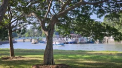 Changi Beach Park Svg+xml,%3Csvg%20xmlns%3D%22http%3A%2F%2Fwww.w3