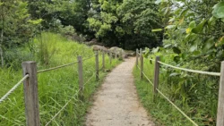 Rifle Range Nature Park Svg+xml,%3Csvg%20xmlns%3D%22http%3A%2F%2Fwww.w3