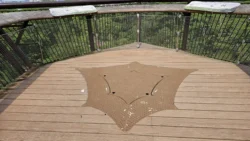 Rifle Range Nature Park Svg+xml,%3Csvg%20xmlns%3D%22http%3A%2F%2Fwww.w3