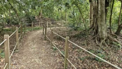 Rifle Range Nature Park Svg+xml,%3Csvg%20xmlns%3D%22http%3A%2F%2Fwww.w3