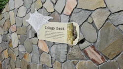 Rifle Range Nature Park Svg+xml,%3Csvg%20xmlns%3D%22http%3A%2F%2Fwww.w3