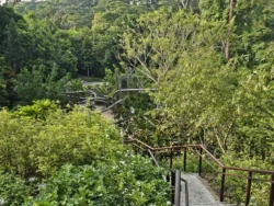 Singapore Botanic Gardens Svg+xml,%3Csvg%20xmlns%3D%22http%3A%2F%2Fwww.w3