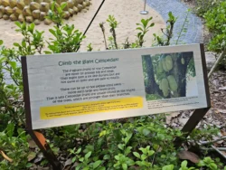 Singapore Botanic Gardens Svg+xml,%3Csvg%20xmlns%3D%22http%3A%2F%2Fwww.w3