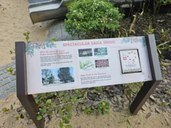 Singapore Botanic Gardens Svg+xml,%3Csvg%20xmlns%3D%22http%3A%2F%2Fwww.w3