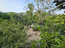 Singapore Botanic Gardens Svg+xml,%3Csvg%20xmlns%3D%22http%3A%2F%2Fwww.w3