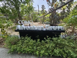 Singapore Botanic Gardens Svg+xml,%3Csvg%20xmlns%3D%22http%3A%2F%2Fwww.w3